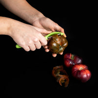Éplucheur de Fruits et de Légumes Quid Veggy Métal Vert (21 x 10 x 2 cm)